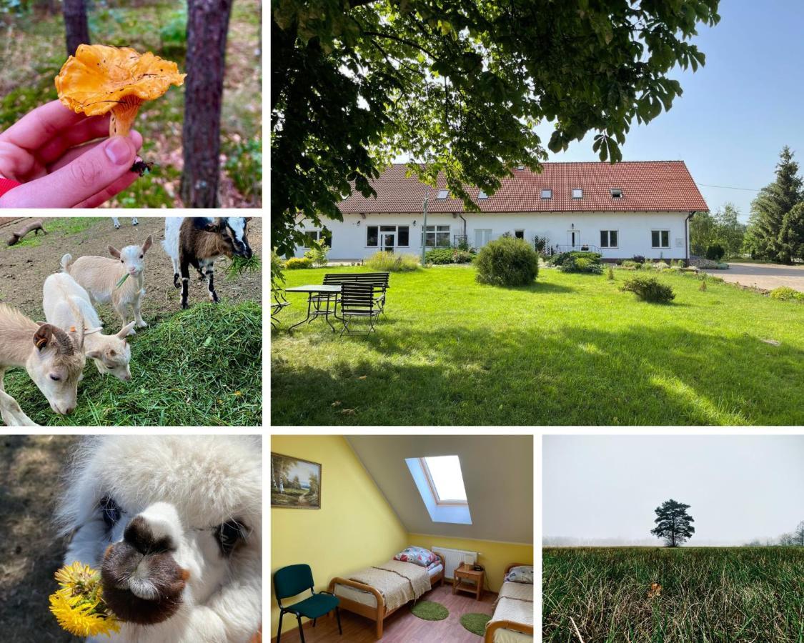 Gospodarstwo Agroturystyczne Zasadkowe Bory Rogowo  Esterno foto